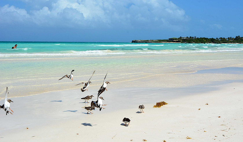 jardines-del-rey-un-regne-pour-la-nautique