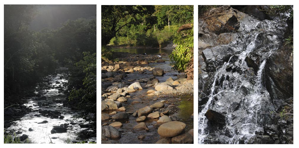 parc-national-alejandro-de-humboldt-veritable-paradis-de-la-randonnee