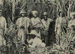 economia-sociedad-historia