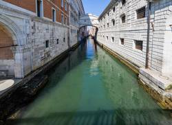 peces-en-los-canales