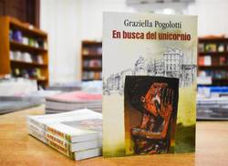 disponible-para-el-publico-texto-en-busca-del-unicornio-de-graciela-pogolotti