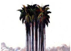 entre-los-vientos-de-melissa-y-otro-desafio-en-la-onu