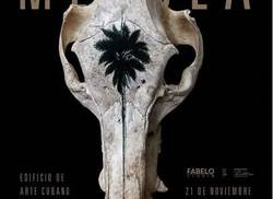 expondra-en-la-habana-destacado-artista-visual-cubano-roberto-fabelo