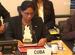 intervencion-de-ines-maria-chapman-en-la-onu-sobre-discriminacion-racial